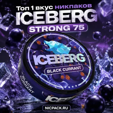 TOP 1 | ICEBERG Black Currant - Nicpack