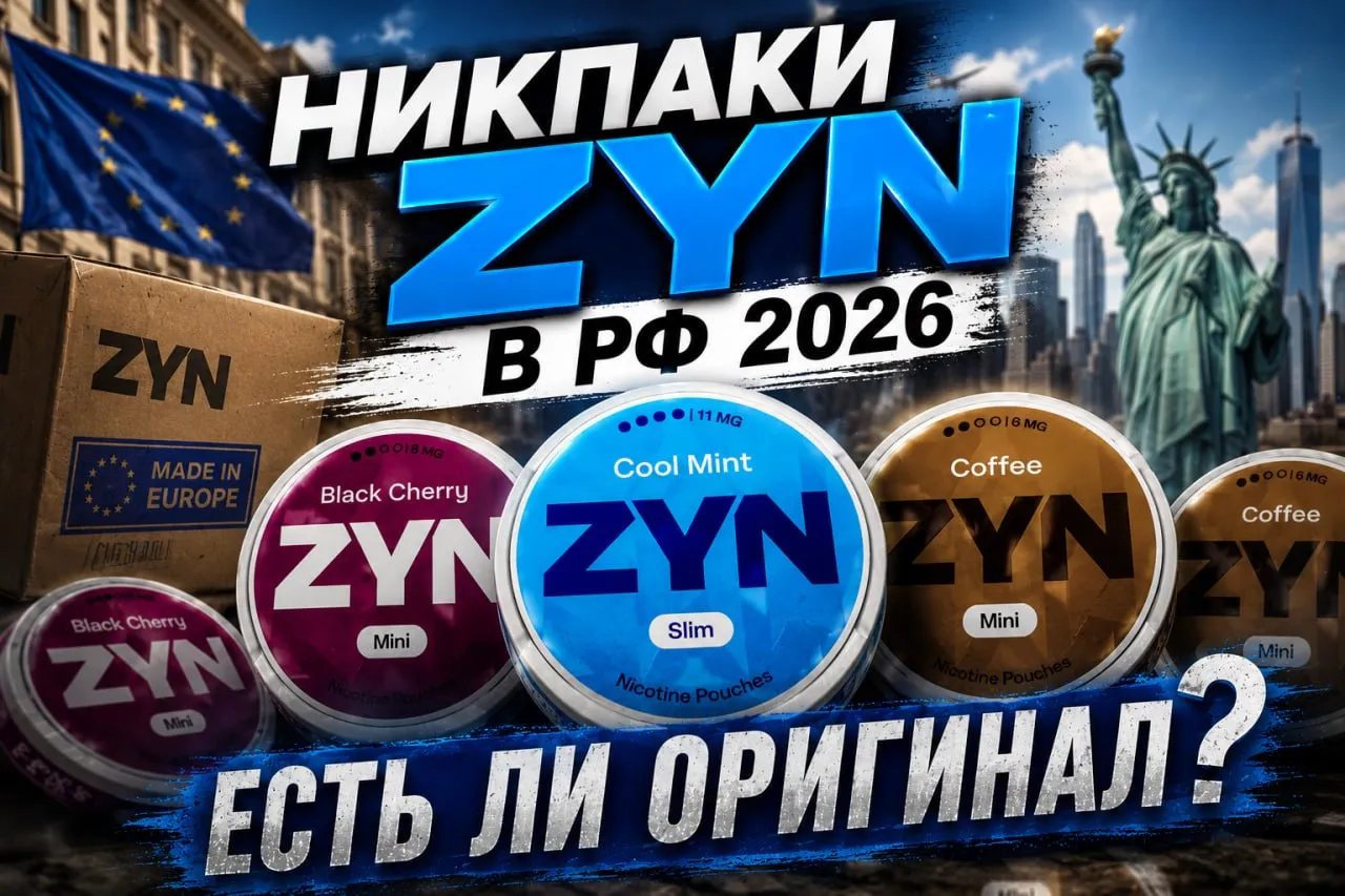 Article | Никпаки ZYN в РФ 2026 - Nicpack
