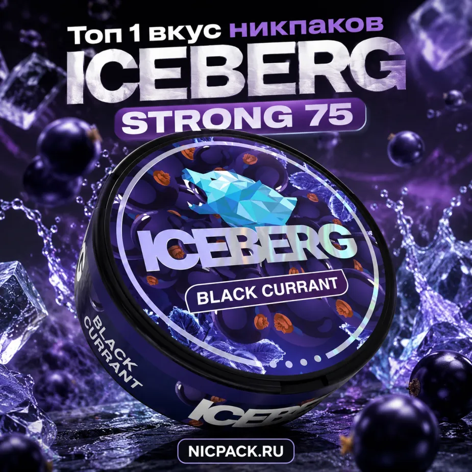 TOP 1 | ICEBERG Black Currant - Nicpack