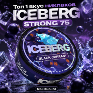 TOP 1 | ICEBERG Black Currant - Nicpack